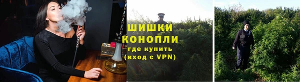 стаф Баксан