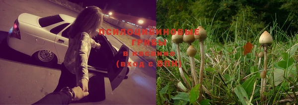 шишки Кулебаки